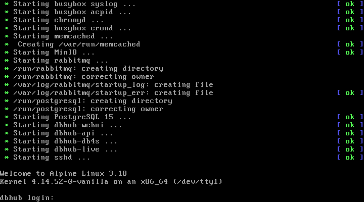 Successful boot with all dbhub.io services